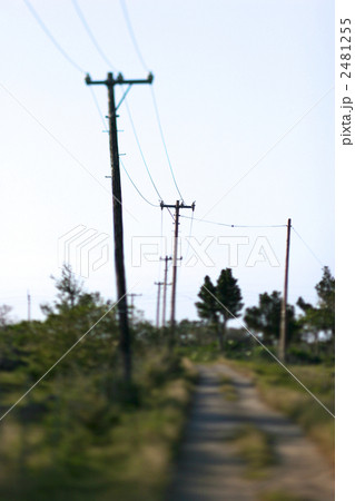 田舎道イメージ 2481255