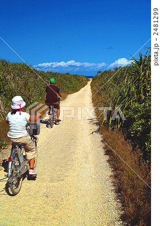 久高島の砂の一本道をサイクリングする家族 2481299