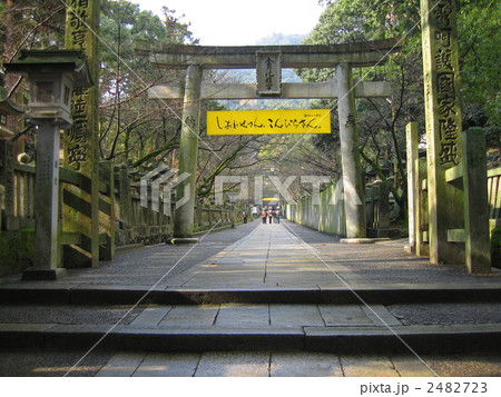 金刀比羅宮の参道 2482723