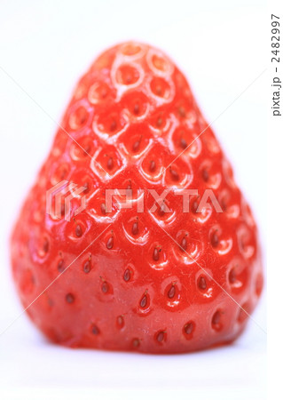 いちごのクローズアップ 2482997