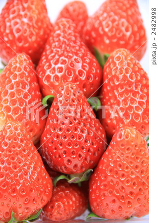 並んだ「いちご」 並んだ「いちご」 2482998