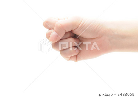 手 手 2483059