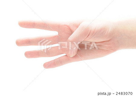手 2483070