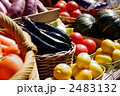 野菜 2483132