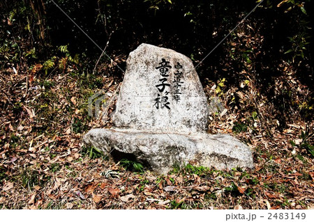 中山道十三峠竜子ヶ根 2483149