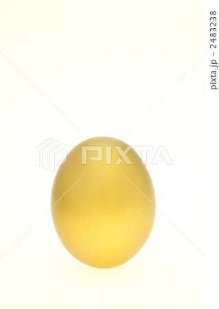 金の卵 2483238