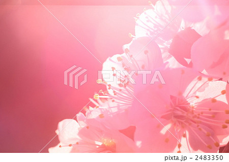 f1901 f1901 2483350