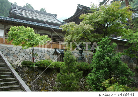 永平寺の新緑 2483441