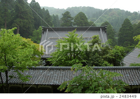 永平寺の新緑 2483449