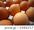 赤玉パック詰めクローズアップ 2484257