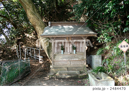 北条時宗公の産湯井戸がある甘縄神明宮を訪れて 北条時宗公の産湯井戸がある甘縄神明宮を訪れて 2484470