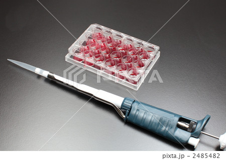 血液検査 2485482