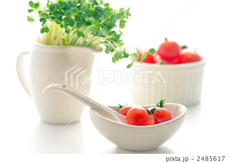 morning tomato morning tomato 2485617