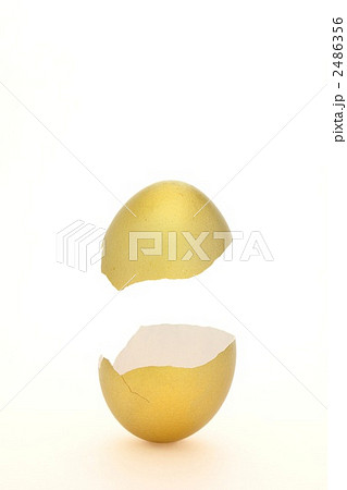 割れた金の卵 2486356