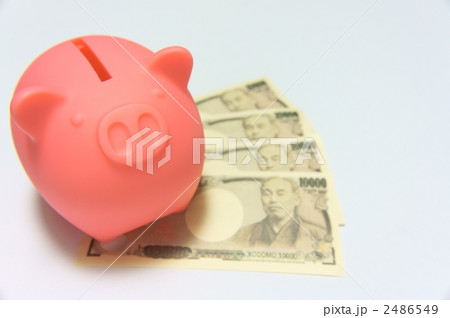 ぶた貯金箱 ぶた貯金箱 2486549