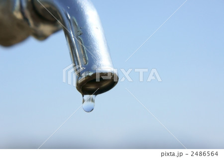 蛇口　一滴 2486564