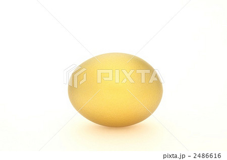 金の卵 2486616