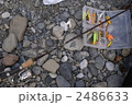 釣り 2486633
