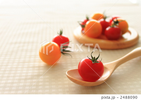 ミニトマト 2488090