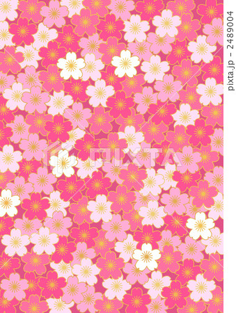 桜の花 桜の花 2489004