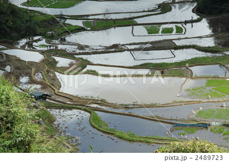 棚田 2489723