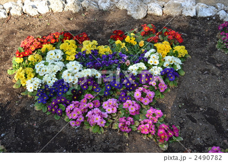 ハート＆ハッピー！！ 2490782