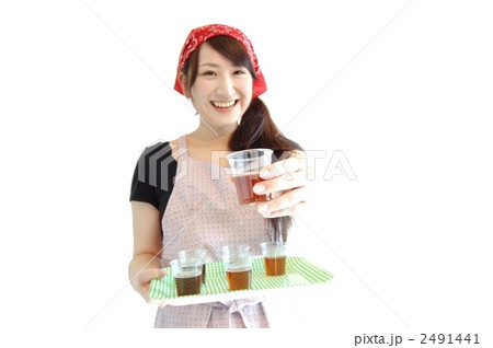 試飲販売マネキンスタッフ 2491441