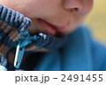 2491455