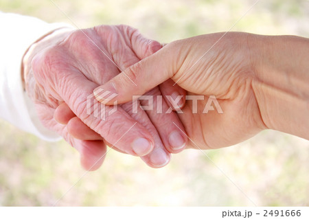 シニアの手をとる　（屋外） 2491666