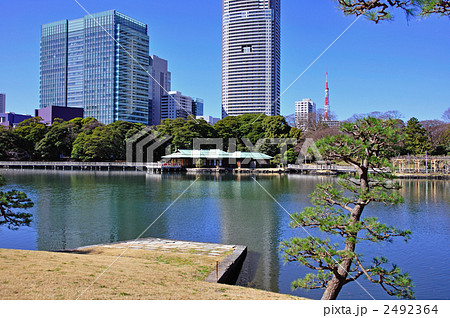 浜離宮恩賜庭園・高層ビル群に囲まれた庭園 2492364