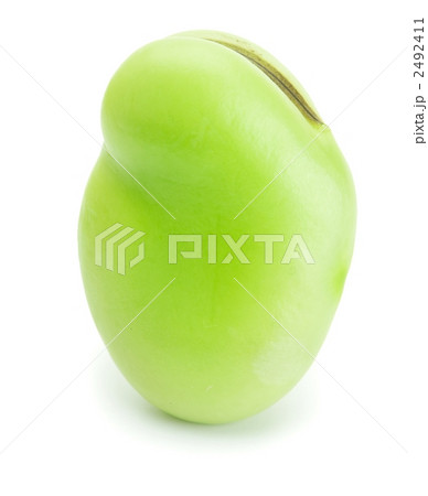 そら豆 そら豆 2492411