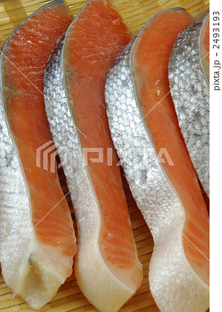 塩鮭 2493193