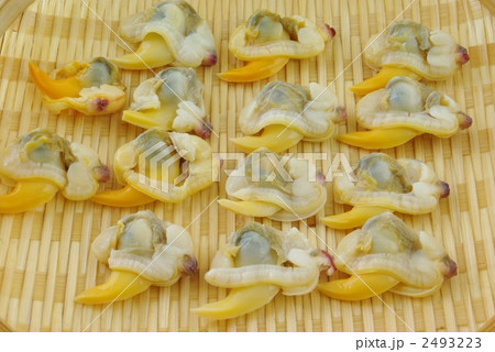 青柳 青柳 2493223