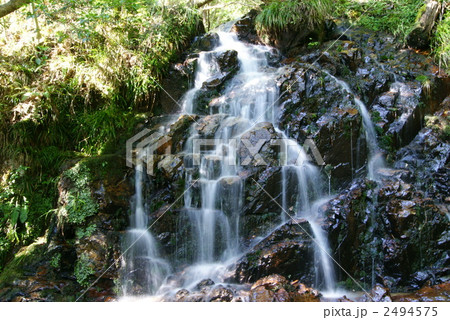 るり渓 2494575