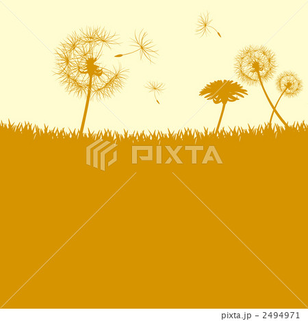たんぽぽ背景 たんぽぽ背景 2494971