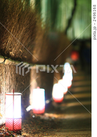 嵐山花灯路　竹林の小路 2496168