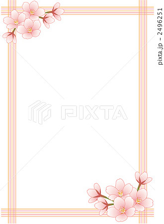 桜の花フレーム四角たてのイラスト素材 2496251 Pixta