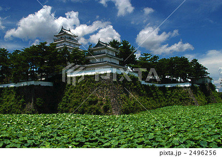 島原城 2496256