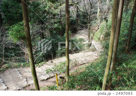槙尾山 施福寺 2497093