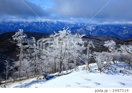 大台ケ原の樹氷 2497514