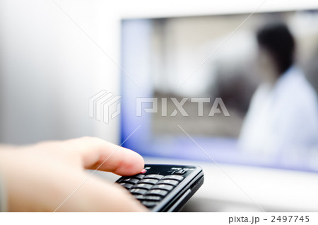 テレビ鑑賞 2497745