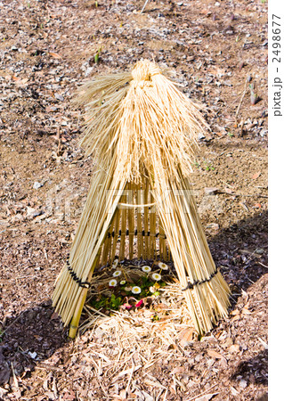 綾南公園の藁ぼっち 2498677