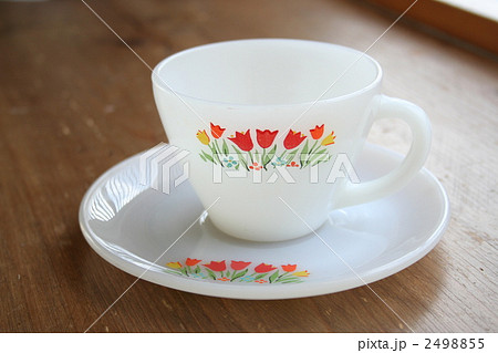 かわいいチューリップ かわいいチューリップ 2498855