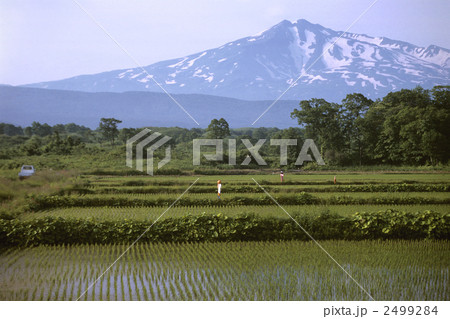 田の守り神 田の守り神 2499284