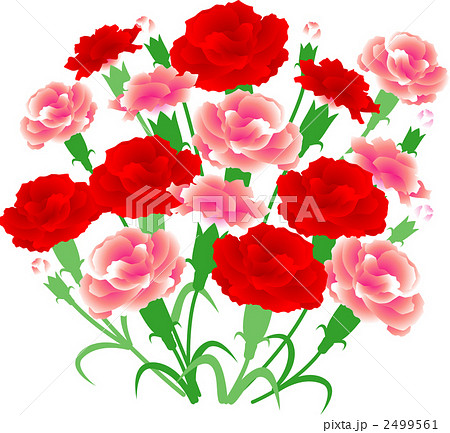 母の日 カーネーション 花束のイラスト素材 2499561 Pixta