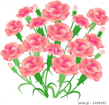 花束 カーネーション 母の日のイラスト素材 2499562 Pixta