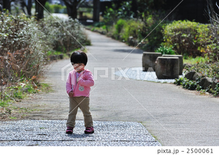 歩道散歩２ 2500061