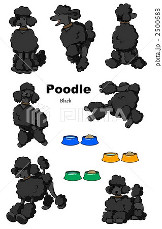 プードル プードル 2500683