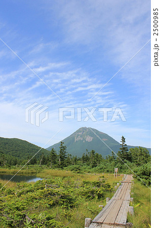 三の沼の木道と羅臼岳 2500985