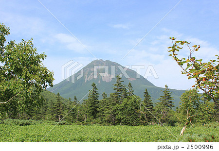 羅臼湖登山道から見た羅臼岳 羅臼湖登山道から見た羅臼岳 2500996